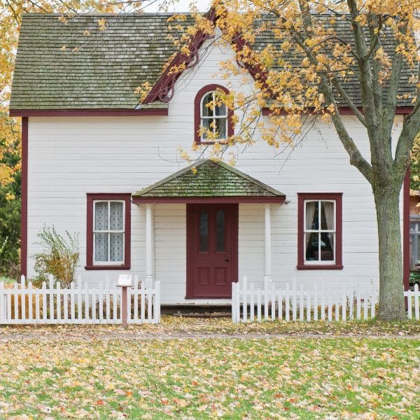 Gallery-Image